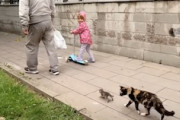 【ネコ】子猫が元気すぎてママ猫さんが大変なほのぼの動画。