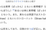 ワンピースに登場する「麦わら帽子」、太陽から身を守るためのものだった