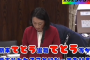 【立憲民主党】田島麻衣子議員　国会で渾身のネタを披露しtwitter民を爆笑させるｗｗｗｗｗｗｗｗｗｗｗｗｗｗｗｗｗ