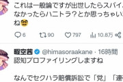 【悲報】暇空茜さん、セクハラ被害の女性元自衛官について「出世したらスパイ、しなかったらハニトラ」