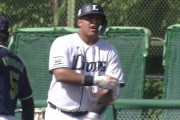 【朗報】西武セデーニョ、大暴れ！