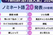 【悲報】Twitter流行語大賞ノミネート、ガチで全て分からないｗｗｗ