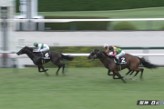 【野路菊S】ブラッドバローズ＆松山騎手がｷﾀ━━━━(ﾟ∀ﾟ)━━━━!!