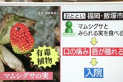 【悲報】男子中学生さん、そのへんに生えていた赤い実を食べてしまって食中毒に…