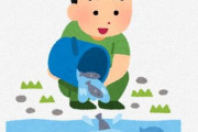 アクア民さん「ウナギの稚魚とか鮎の稚魚の放流は許されてるのになんでメダカはだめなの？」