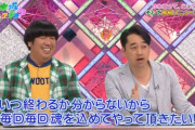 【悲報】乃木坂OGのレギュラー番組が1クールで終了する模様…