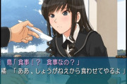 【朗報】 アマガミ、まだ戦える
