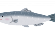 ニシンとかいう美味いかと言われるとちょっと微妙な魚ｗｗｗｗｗｗ