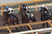 【凱旋門賞】ドウデュースえげつない馬体wwwこれは勝ったなwww