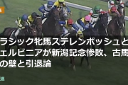 クラシック牝馬ステレンボッシュとチェルビニアが新潟記念惨敗、古馬での壁と引退論