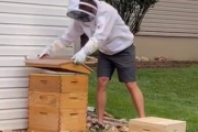 どう考えても半ズボンじゃいけないだろ。養蜂箱の手入れの装備を完全に間違えた男。海外の反応