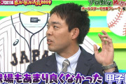 【動画】甲子園の試合とめた観客の大声ヤジ
