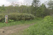 【北海道】タケノコ採りの男性行方不明、冬眠明けのクマに襲われたか