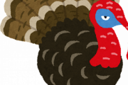 英語「七面鳥はTurkey(トルコの鳥)」トルコ語「七面鳥はインドの鳥」インド語「七面鳥は・・・・」