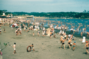 【画像】 1949年の日本人の海水浴ｗｗｗｗｗｗｗｗｗｗｗｗ