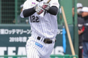ロッテ育成でスイングが柳田に似てる人