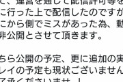 【悲報】人気Vtuberさん、ゲーム配信するも運営の不手際で無許可だったことが判明→アーカイブを削除へｗｗｗｗｗｗ