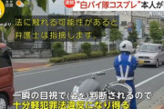 白バイコスプレおぢ、違法の可能性有り👮