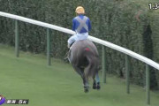 【競馬】リフレイム、外ラチまでもたれるも押し切る