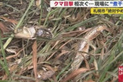 【北海道】「信じられない」住民衝撃…クマ目撃現場に“煮干し＆ドッグフード”