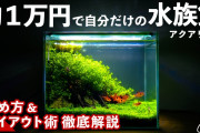 なんG民が選ぶガチで「低コストで始められるオススメ趣味」。
