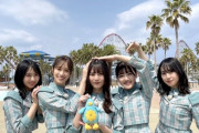 【日向坂46】ポカvsぬこｗｗｗｗｗｗｗｗ