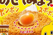 チキンラーメン「美味しいです、簡単です、ガッキーがcmやってます」←こいつ
