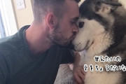 愛情がこぼれ落ちすぎ！飼い主とハスキーの相思相愛いちゃいちゃキスタイム