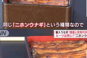 うなぎ屋さん「うなぎは国産も中国産も味は変わらない。どっちも美味しい」