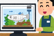 メダカ屋（毎月5万の副収入）だけど質問ありますか？