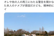 【悲報】Twitter民「目の前で人が燃えるの見て精神的にキツイ…」