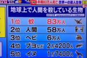 【ﾌﾟｩ～ﾝｗ】蚊「子供のために0.005gだけ血を分けてくださいンゴ・・・彡(;)(;)」