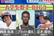 今年大卒野手「ブラ健鵜飼正木池田野口安田丸山！」来年「森下萩尾村松田中山田友杉矢澤！」←これ