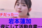 【認めたw】乃木坂46岩本蓮加一夜にして活動自粛に追い込まれる…#乃木坂46