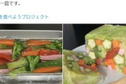 農水省「これなら簡単に野菜３５０グラム食えるぞ（ドンッ」（※画像あり）