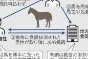 【悲報】馬主さん、預託料を払わなかった結果調教師に馬を売り飛ばされて裁判を起こすも負ける・・・・・
