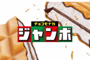 正直一番おいしい「低価格アイス」ランキング、４位チョコモナカジャンボ、トップ３は？