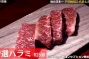 【動画あり】日本一の焼肉屋さん、牛宮城で食いボロクソ評価をしてしまうｗｗｗｗｗｗｗｗｗ