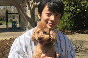 【芸能】伊藤健太郎の事務所、『文春』報道に厳重抗議「事実に反している部分が多数」  [爆笑ゴリラ★]
