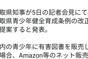 【悲報】鳥取県「CEROZのゲームを18歳未満に売ったら罰則な」←ゲーマー達がブチ切れ