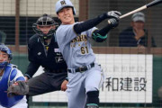【阪神】豊田寛２安打１打点とアピール「ホッとする気持ちはあるけど、まだまだやっていかないと」