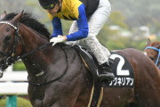 【競馬】　ダービー馬・ワグネリアンさんの5歳シーズンが終了