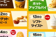 今日はマクドナルドでチキンナゲット5ピースが100円やぞｗｗｗｗｗｗ