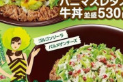 【悲報】「チー牛」連呼、ガチで効いていた。すき家が『チーズ牛丼』の名前を変更ｗｗｗｗｗｗｗｗｗｗ
