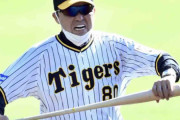阪神・植田がリタイア１号　秋季キャンプで右手人さし指負傷　帰阪して診察受ける予定
