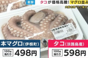 タコの価格が高騰！　マグロより高くなってしまう