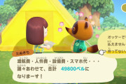 どうぶつの森はじめたんやがヘンテコたぬきにローン組まされた