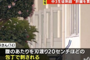 【速報】弥富市・十四山中学校の同級生殺人事件、犯人と被害者の関係がヤバ過ぎる・・・