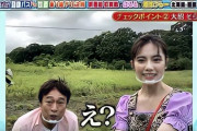 【ぱるる】5/4放送 テレ東系「ローカル路線バス乗り継ぎ対決旅」に島崎遥香出演！　前回に続き太川チームで！