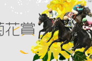 第86回 菊花賞(GⅠ)